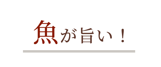 魚が旨い！